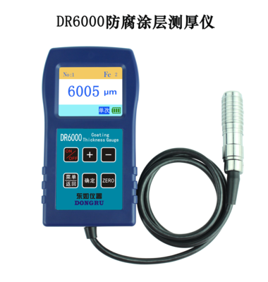 DR6000防腐层测厚仪